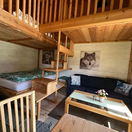 Baldur Kamp alanı *